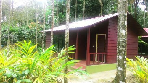 Hotel La Flora Prakruth Resort,coorg