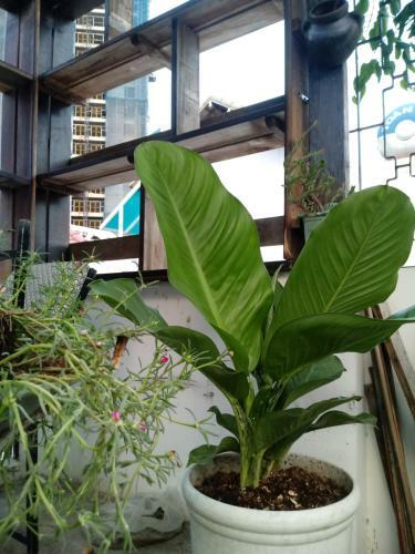 Hostal Funny House (apart & Inn)