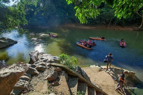 Khao Sok Hostel
