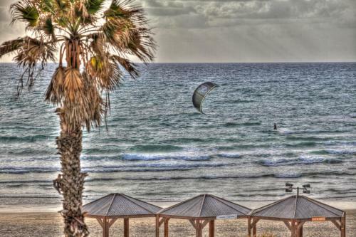 Apartamento Herbert Samuel By The Beach