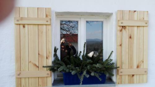 Ferienhaus Winter