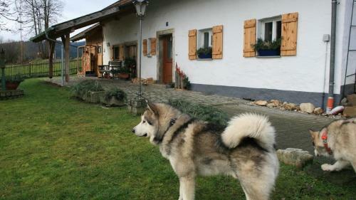 Ferienhaus Winter