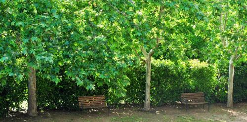 Agroturismo House El Farinal - Mol� Del Pont