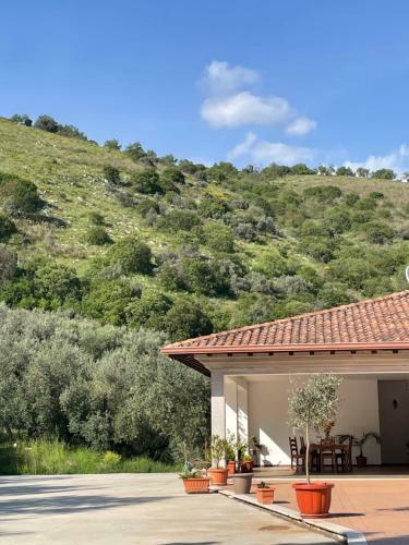 Agroturismo Agriturismo Torre Ercolana