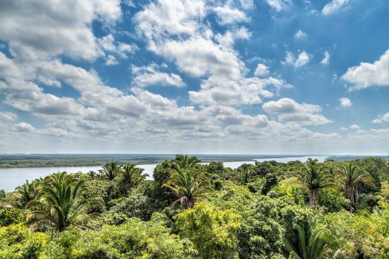 Hotel Maruba Resort & Jungle Spa