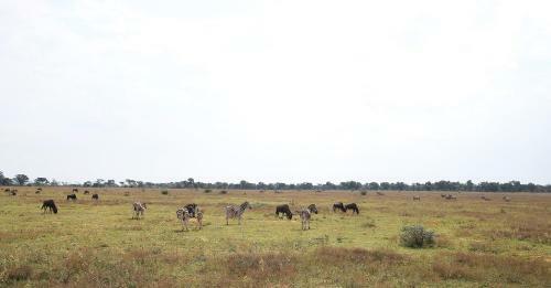 Lodge Shambala Private Game Reserve
