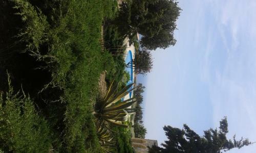Hotel Pegasus Resort