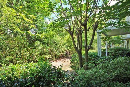 Apartamento Nancy Lane 6