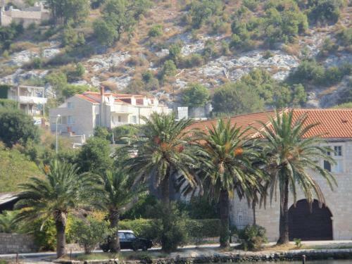 Hostal Guesthouse Zeko Rozat