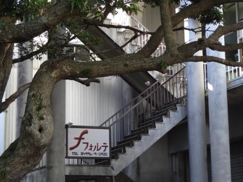 Hostal Forte