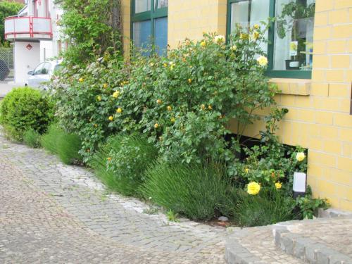 Hostal Pension Genat