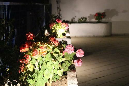 Apartamento Theofilos Appartements