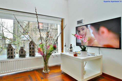 Luxury Apartments Delft V History Written