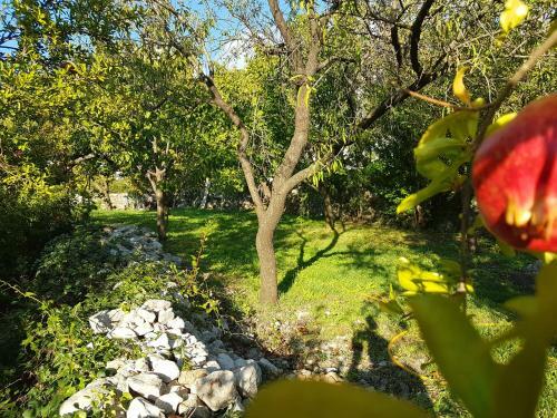 Oldmill Holiday Home