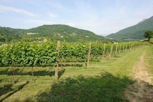 Bed & Breakfast La Giassara