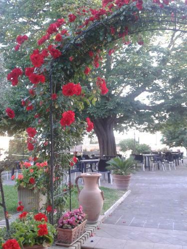 Hotel Il Castagno