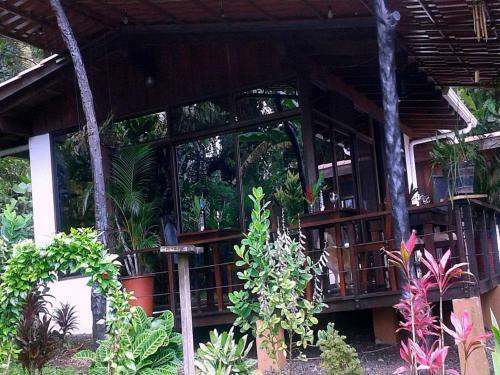 Ceiba Tree Lodge