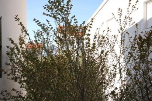 Apartment Duce 2821c