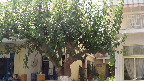 Apartamento Mouroukis Rooms