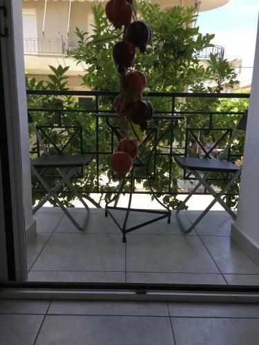 Apartamento Armonia