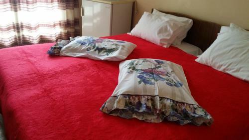 Hotel Foivos