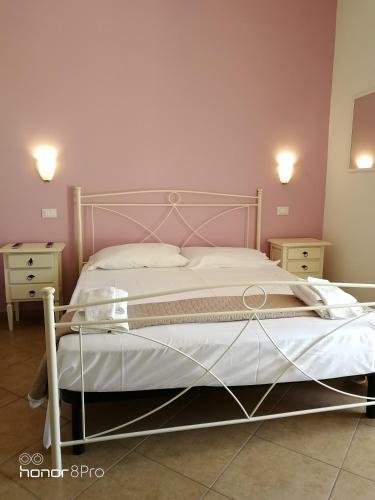 B&B Zahir