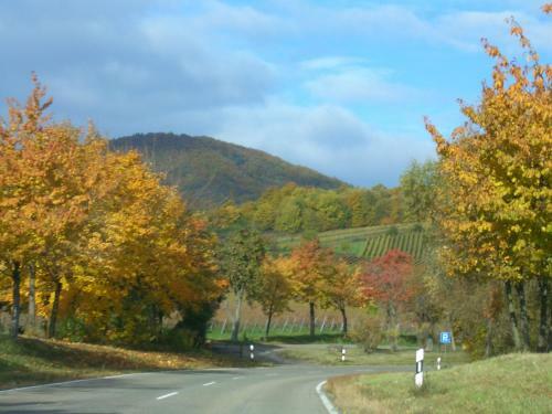 Hotel-pension Seeblick