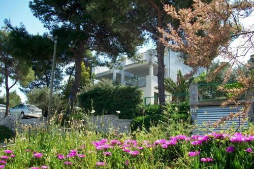Apartment Slatine 7274b