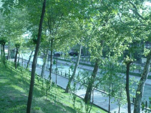 Apartment Tsentr 5