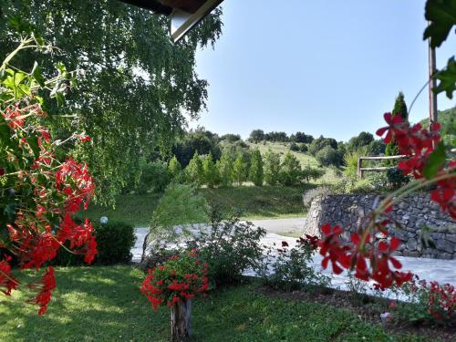 Hostal Pansion Breza