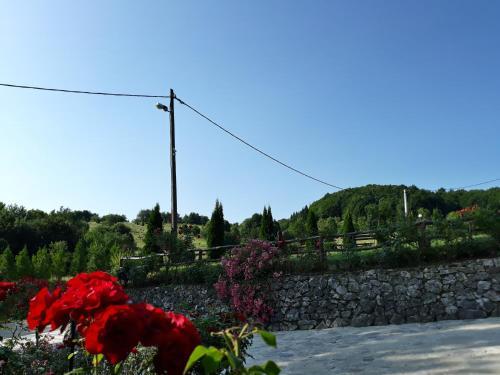 Hostal Pansion Breza