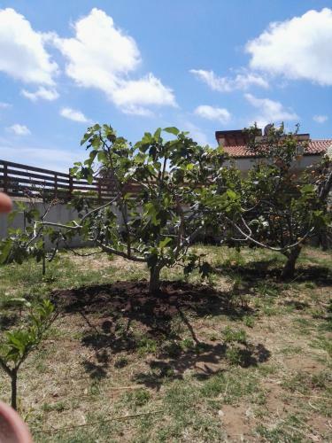 Casavacanza Rita