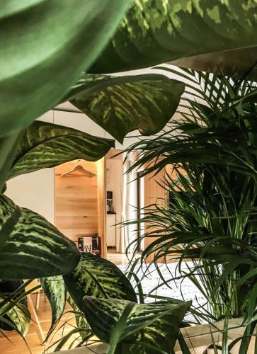 Apartamento Garden House