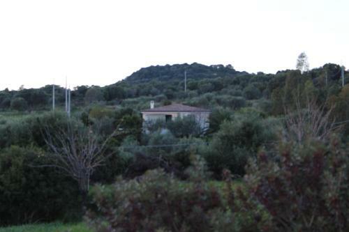 Villa Golehy