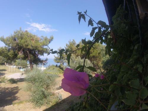 Rainbow Bay Ozdere Beach Hotel