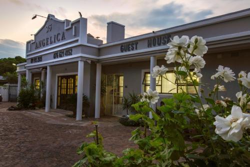 Hostal Angelica Guest House