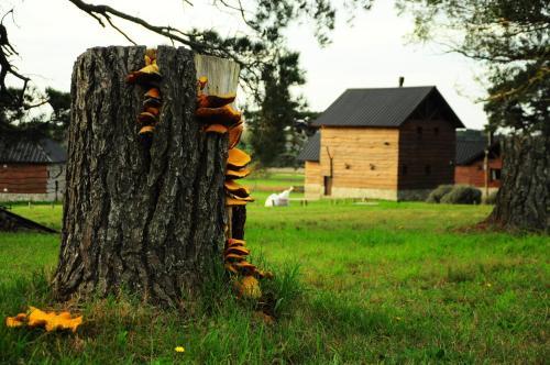 Agroturismo Cabanas El Yarquen