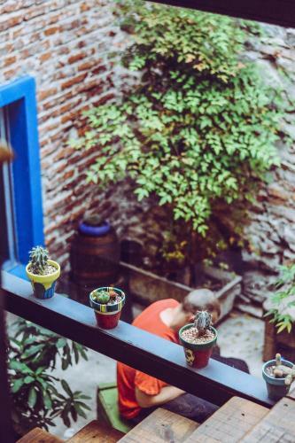 Hostal Compay Hostel