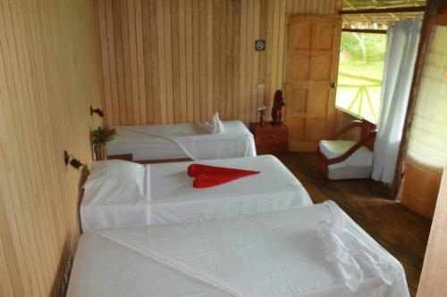 Lodge Tropical Adventures & Expeditions