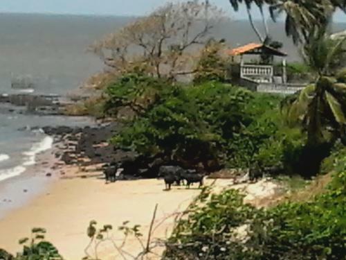 Hostal Pousada Vila Joanes