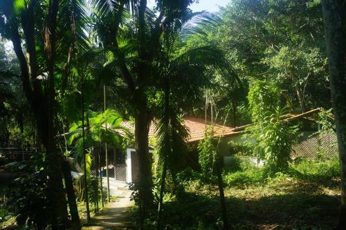 Hostal Happy Hammock Eco Beach