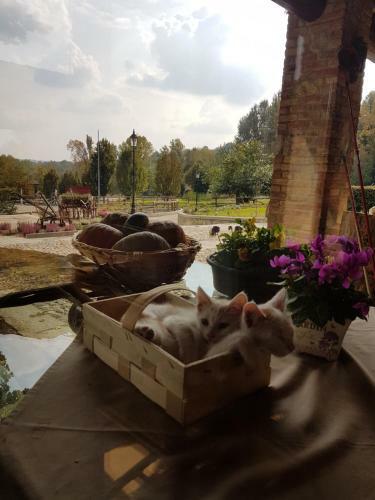 Agroturismo Agriturismo Ai Laghetti
