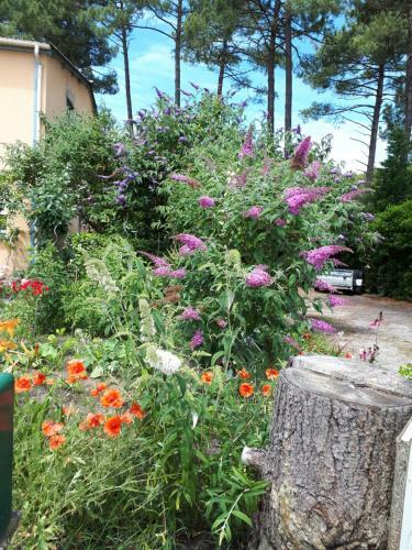 Bed & Breakfast Le Relais De La Praya