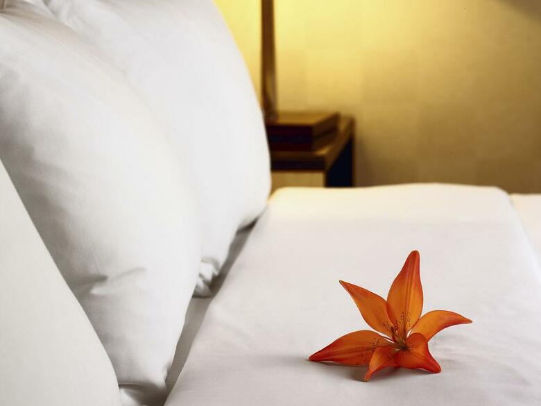 Hotel H�tel Champ-de-mars