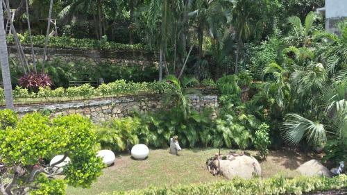 Villa Condesa