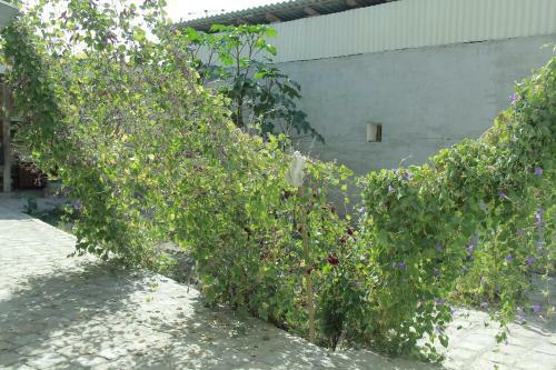 Bed & Breakfast Jeyran Hotel