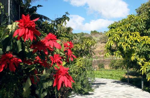Casa Rural El Lir�n