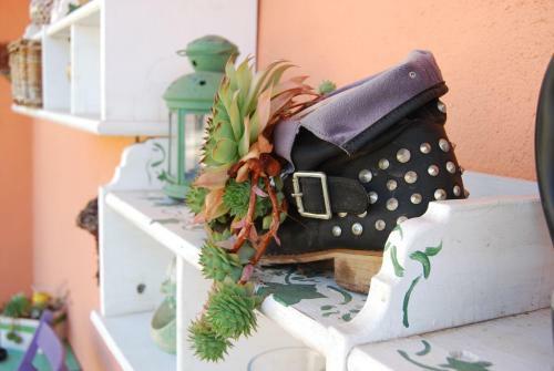 Bed & Breakfast L'orchidea