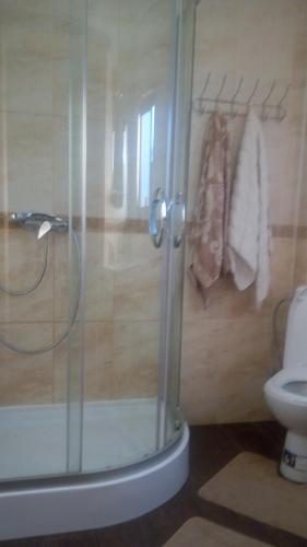 Guest House Dikiy Zrub