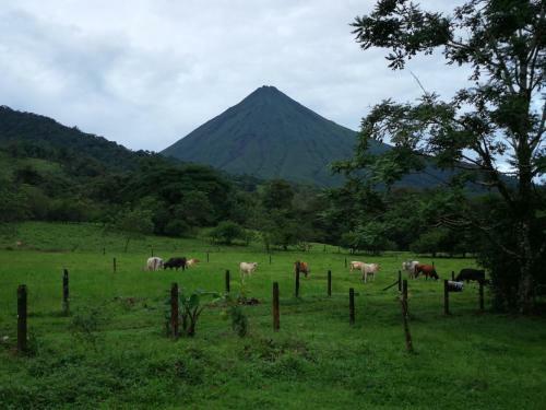 T�o Felix Eco Lodge